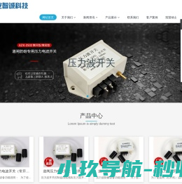安智诚防砸压力电波厂家