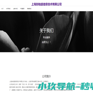 上海创柏盛信息技术有限公司