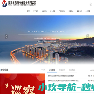 福建省东南电化股份有限公司