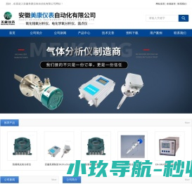 氧化锆分析仪,防爆氧化锆分析仪,氧化锆探头,氧化锆氧气含量分析仪