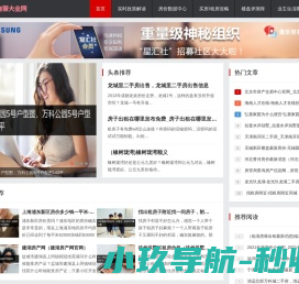 网站截图