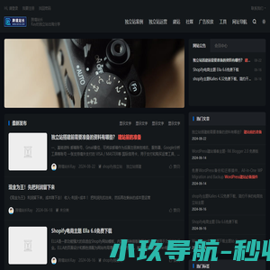 跨境站长-Ray的独立站出海笔记-独立站运营经验分享