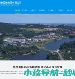 山东潍焦控股集团有限公司