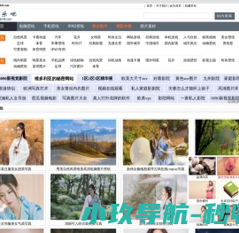 高清图片壁纸