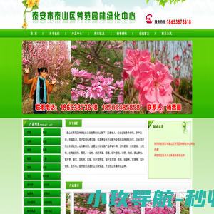泰安市泰山区芳苑园林绿化中心|泰安苗木|山东苗木|苗木价格|绿化苗|