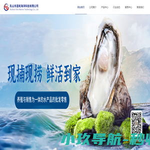 乳山市喜蚝海洋科技有限公司