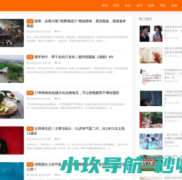 巴士网