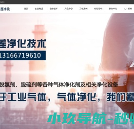 慧雅莲净化技术
