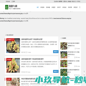 我爱多肉网_多肉植物图片_多肉品种大全_全国领先多肉植物种植网站