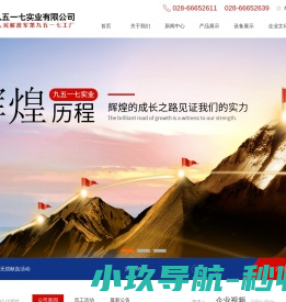 四川九五一七实业有限公司