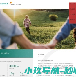 龙迅长天