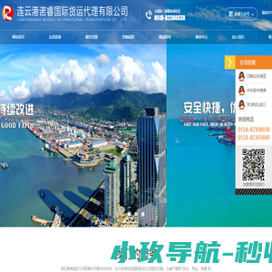 连云港诺睿国际货运代理有限公司