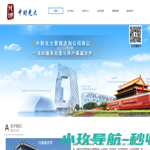 中财光大管理咨询