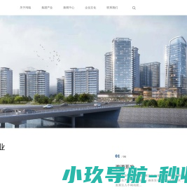 多元化大型民营企业集团