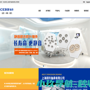 微小型静音电机轴承-特种材料特殊工况轴承-上海郑升轴承有限公司