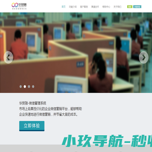 新橄榄教育