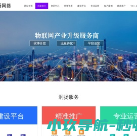 润扬网络