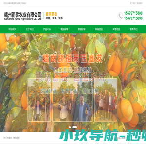 赣州雨雾农业有限公司-赣南脐橙，富硒脐橙