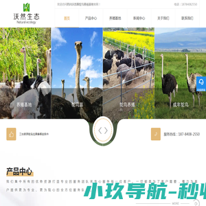 自动包装机,定量包装秤,自动分装机,真空包装机,自动灌装机,粉末灌装机,金属检测机