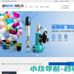 温州舜泰阀门有限公司