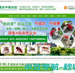 重庆杀虫