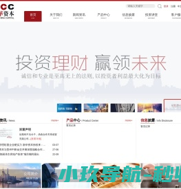 新华创新资本投资有限公司