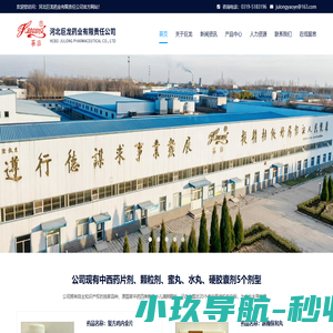 河北巨龙药业有限公司