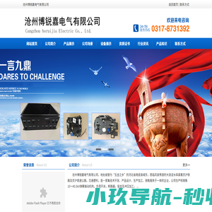 沧州博锐嘉电气有限公司