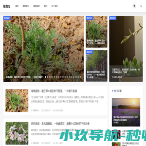 植物岛