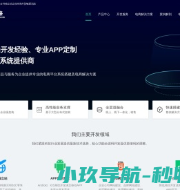 跨境独立站