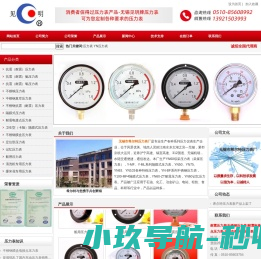 耐震压力表
