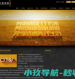 中尊财富投资顾问有限公司