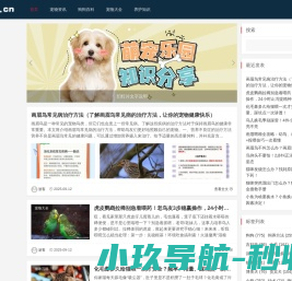 跟班网