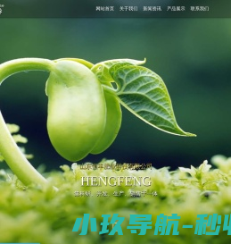 山东恒丰肥业科技有限公司