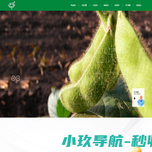 大兴安岭示繁种子经销有限公司|官网|蒙豆31|华疆2号|黑河44|黑河35|北豆49|北豆43|北豆36|北豆26|五六积温带早熟救灾补种大豆种子|
