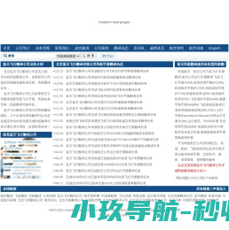 翻译民航网