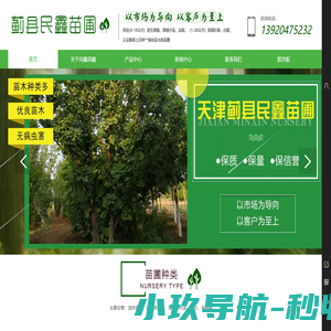 天津苗圃_苗木基地_速生国槐_美国红枫_法桐-民鑫苗圃