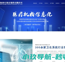 湖南恒日医疗软件有限公司