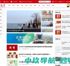 龙港网
