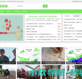 勤芳花木网