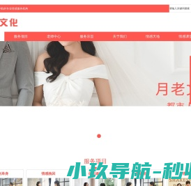 网站截图