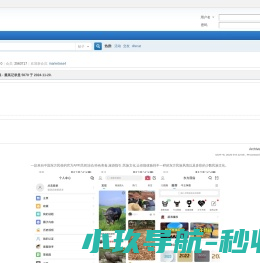 网站截图