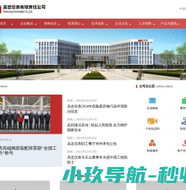 吴忠仪表有限责任公司