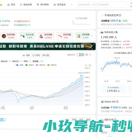 网站截图