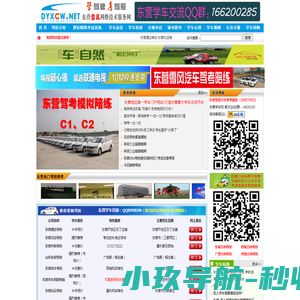 东营学车