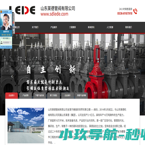 山东莱德管阀有限公司