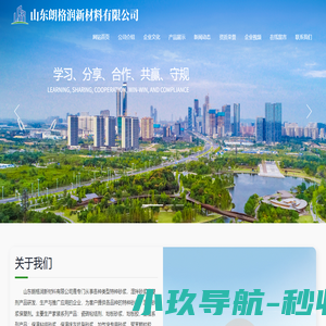瓷砖粘结剂,瓷砖胶,地板砂浆_山东朗格润新材料有限公司