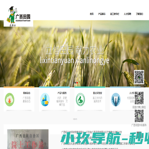 营销型网站建设,电子商务解决方案 - 深圳市亿网动力科技有限公司