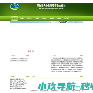 明光市大全甜叶菊专业合作社-主页