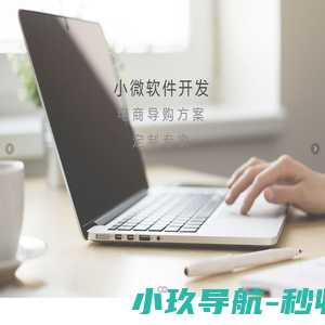小微软件开发
